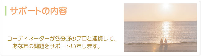 サポートの内容